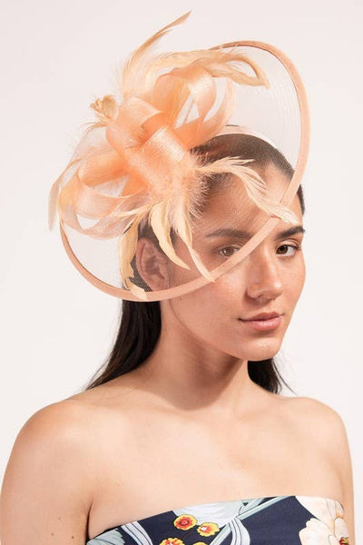 RIBBON MESH FASCINATOR HEADBAND CLIP HTH2718: Iv